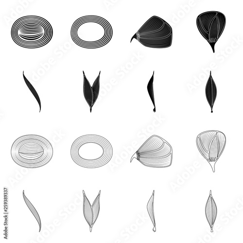 Vector illustration of fiber and muscular icon. Collection of fiber and body  vector icon for stock.
