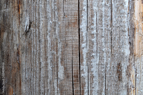 Grunge shabby wood background background hardwood color