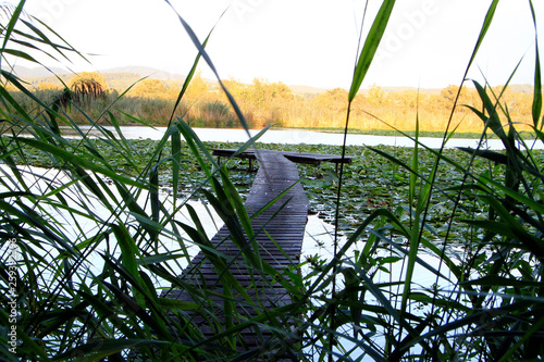 Fishing, Pond, Fish pond, Breitungen, Thuringia, Germany, Europe photo