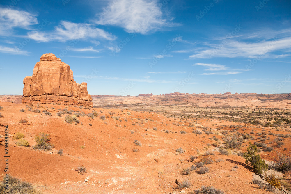 Fototapeta premium Delicate Arch, Arches National Park, Utah