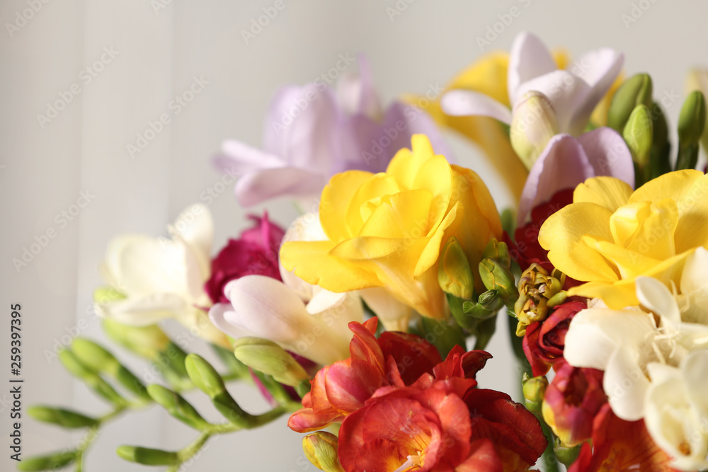 Beautiful bouquet of spring freesia flowers on blurred background, closeup
