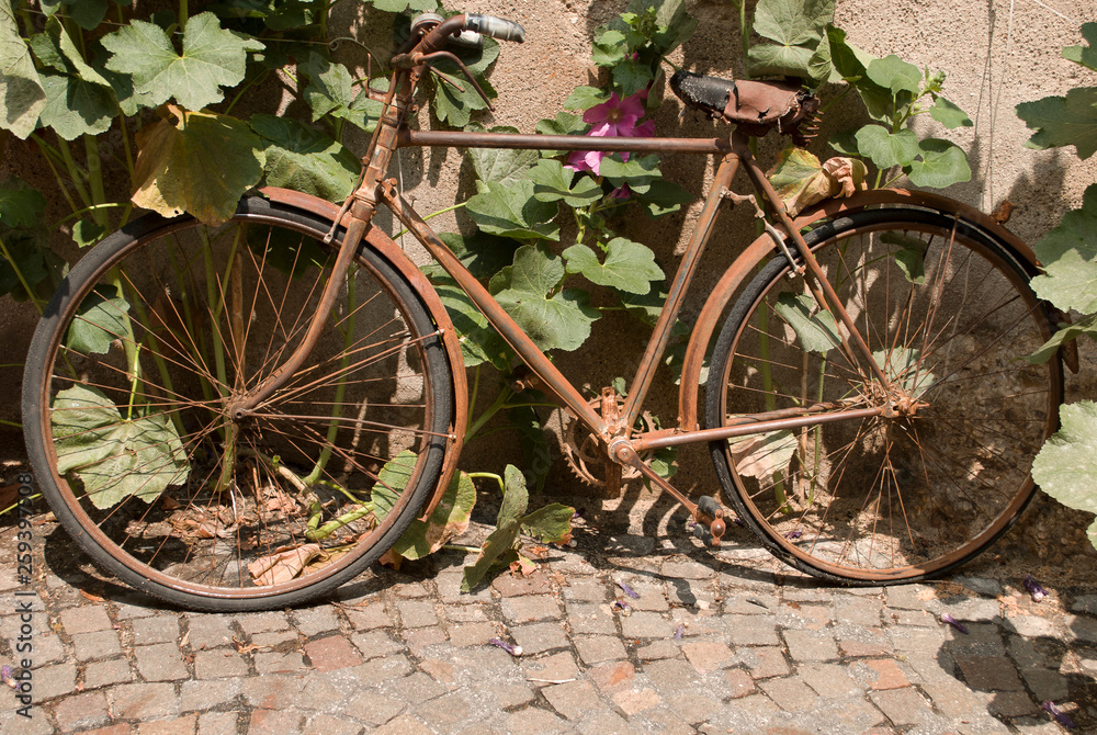 an old abandoned rusty bicycle leaning against a wall