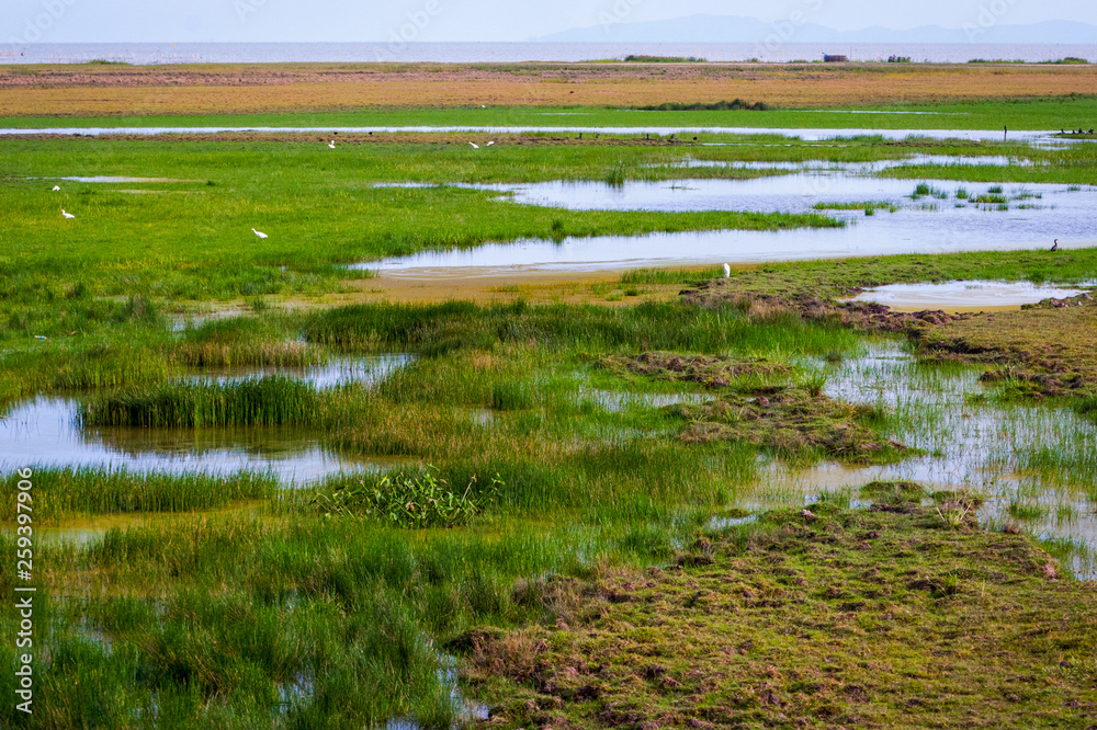 Thale Noi Lake and mashes, Thailand Thale Noi Lake and mashes, Thailand