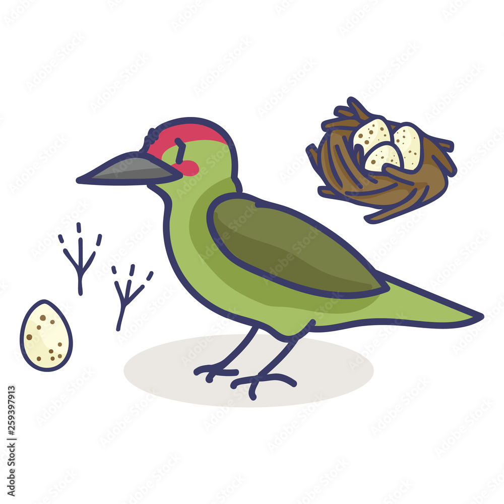 Cute woodpecker nest cartoon vector illustration motif set. Hand drawn