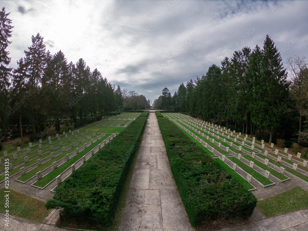 Aerial view of old cemetery in forest, Szczecin Poland