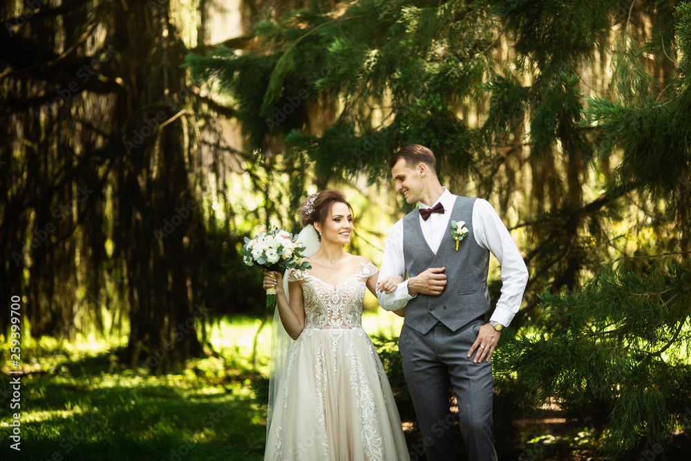 A wedding couple enjoys walking in the woods. Newlyweds hug and hold hands A wedding couple enjoys walking in the woods. Newlyweds hug and hold hands