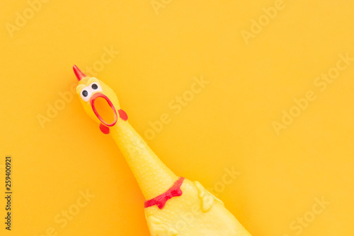 Creeping, rubber chicken toy on a pastel yellow background. Rubber toy Chicken that screams isolated on a yellow background