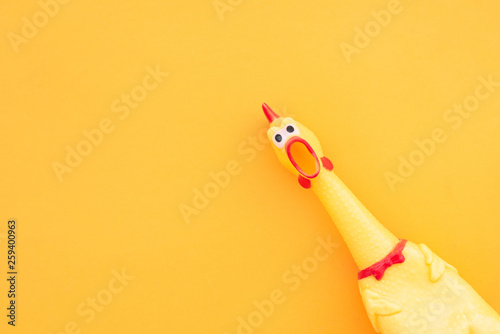 Squawking chicken or squeaky toy are shouting and copy space yellow background. Chicken shouting Toy on orange background.