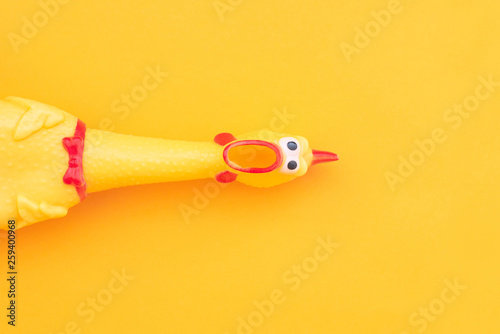 Squeaky chicken toy isolated on a orange background and copyspace. Rubber toy Chicken on a yellow background