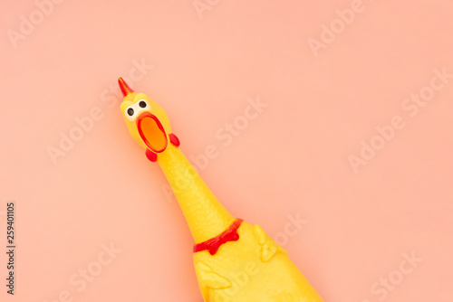 Creeping, rubber chicken toy on a pastel pink background. Rubber toy Chicken that screams isolated on a coral background. Copyspace