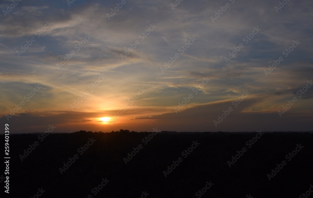 Sunset over the jungle canopy Sunset over the jungle canopy