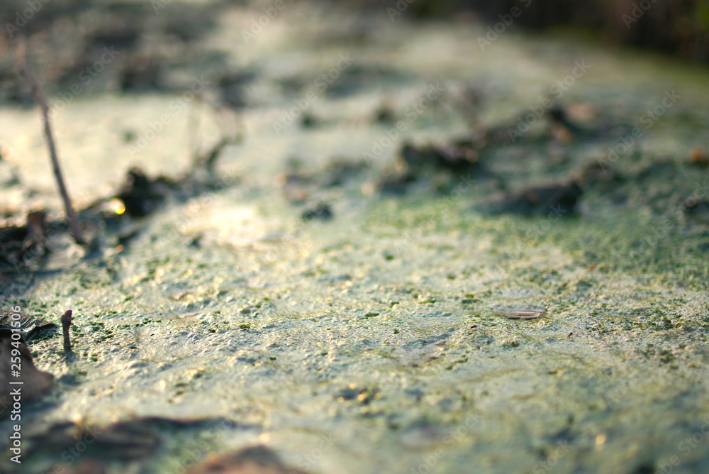 green dirty water from the sewer green dirty water from the sewer
