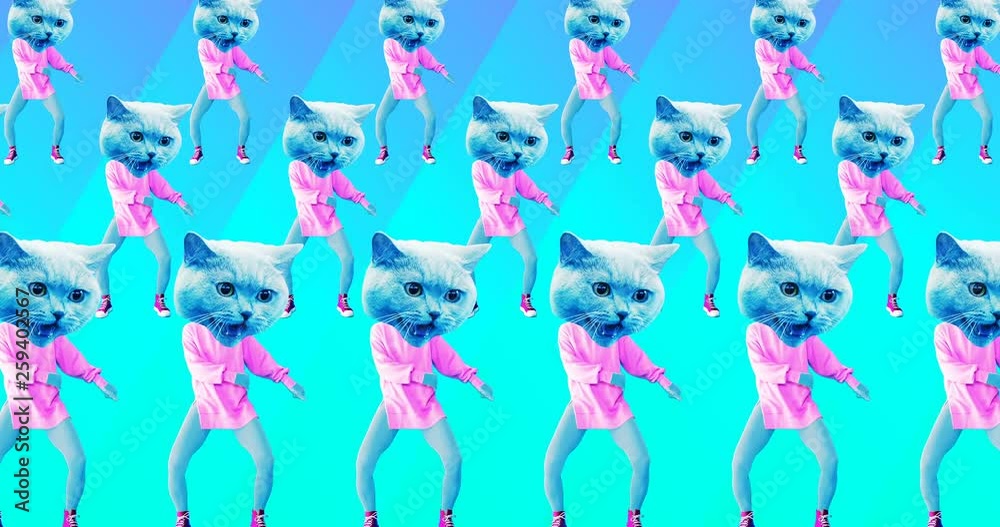 Minimal animation design. Kitty sport dancing vibes.Cat power