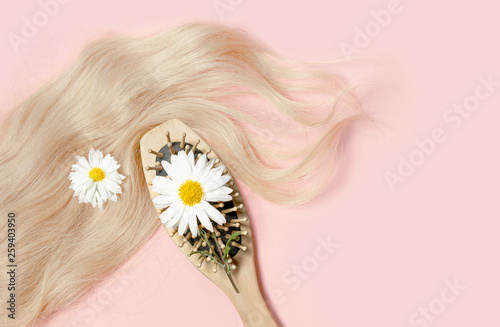 Chamomile cosmetics for healthy hair. Bottles of oil, comb and curls of blonde hair on pastel background photo