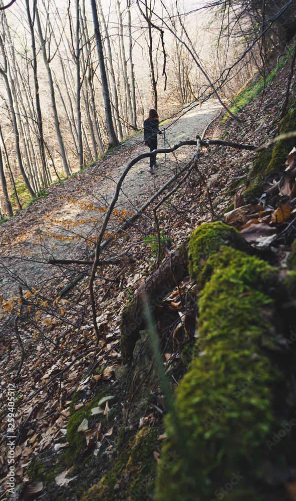 Lonely Girl hiking in the forest with a stick Lonely Girl hiking in the forest with a stick