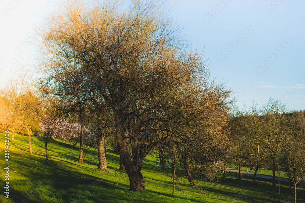 Obraz premium couleur de saison morbras