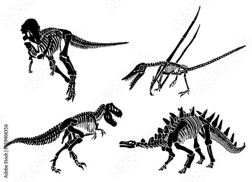 Graphical set of dinosaur skeletons isolated on white background,vector sketch