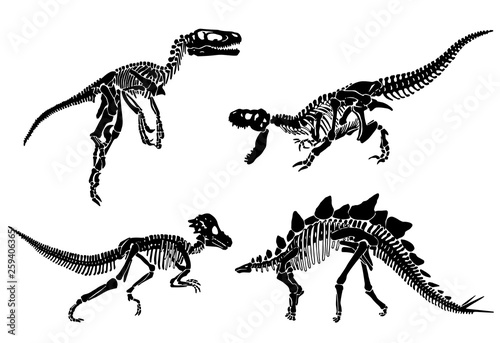 Graphical set of dinosaur skeletons isolated on white background,vector sketch