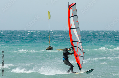 sportman windsurfer