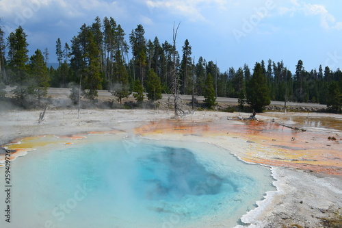 pool in yellowstone national park