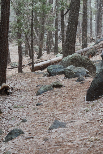 Wallpaper Mural Southwest Torontodigital.ca