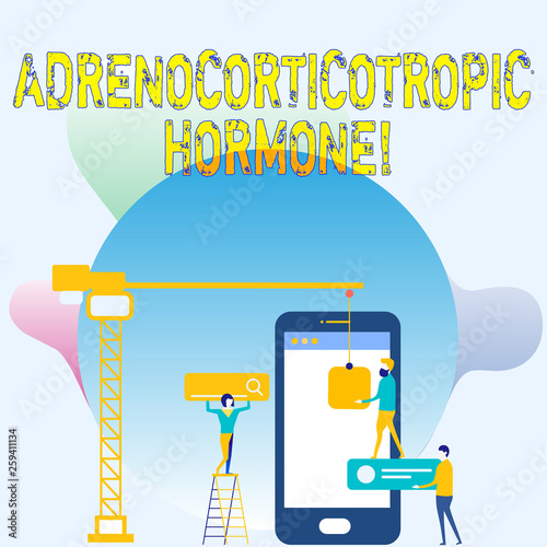 Conceptual hand writing showing Adrenocorticotropic Hormone. Concept meaning hormone secreted by pituitary gland cortex Staff Working Together Target Goal with SEO Process Icons photo