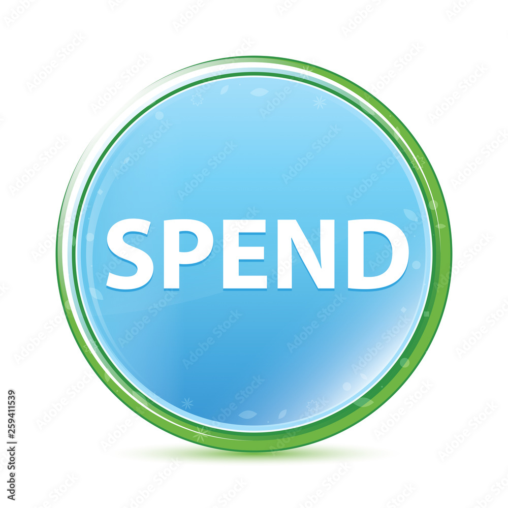Spend natural aqua cyan blue round button Spend natural aqua cyan blue round button
