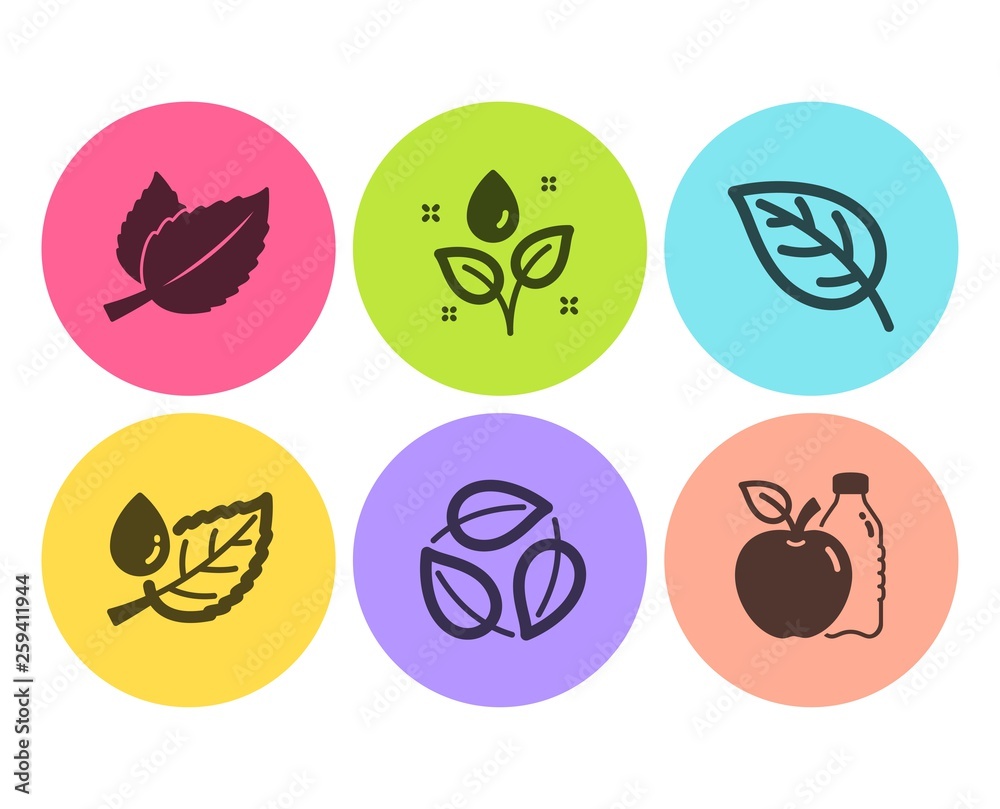 Mint leaves, Plants watering and Leaf dew icons simple set. Leaf, Leaves and Apple signs. Mentha herbal, Water drop. Nature set. Flat mint leaves icon. Circle button. Vector Mint leaves, Plants watering and Leaf dew icons simple set. Leaf, Leaves and Apple signs. Mentha herbal, Water drop. Nature set. Flat mint leaves icon. Circle button. Vector