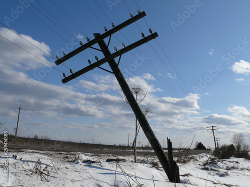 Wallpaper Mural Photo of a falling pole for electrical wires near the road on a frosty bright sunny day Torontodigital.ca