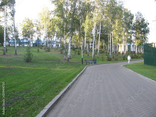 path in the park