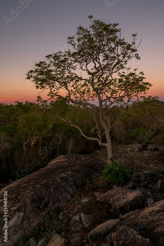 Herrliche Lichtstimmung beim Sonnenuntergang im Granite Gorge Nature Park in Queensland Australien © Michael