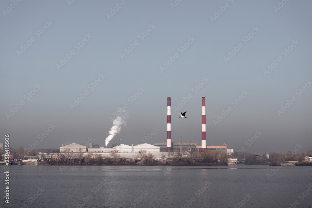 A flying bird and smoke in the blue sky from the plant in the city on the river bank, polluting the environment. Impact of industrial pollution on fauna and flora A flying bird and smoke in the blue sky from the plant in the city on the river bank, polluting the environment. Impact of industrial pollution on fauna and flora