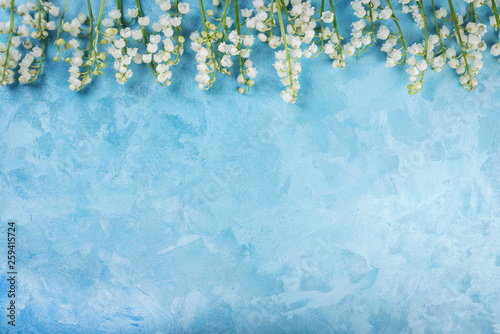 lily of the valley flowers  on blue painted background, top view