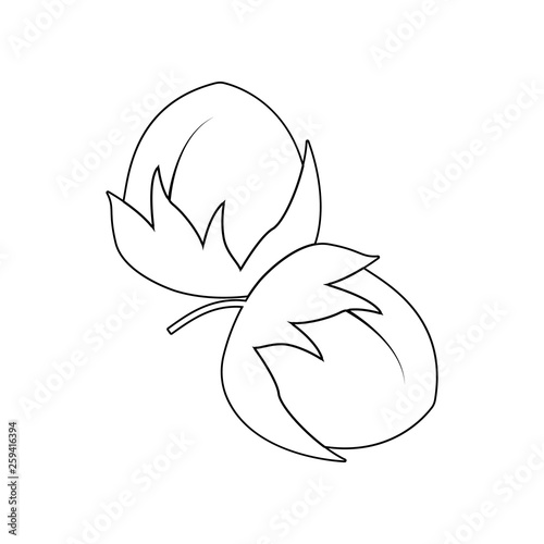 hazelnut icon. Element of nuts for mobile concept and web apps icon. Outline, thin line icon for website design and development, app development