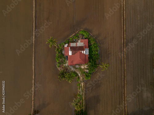 A house in the middle of plowed paddy field. 