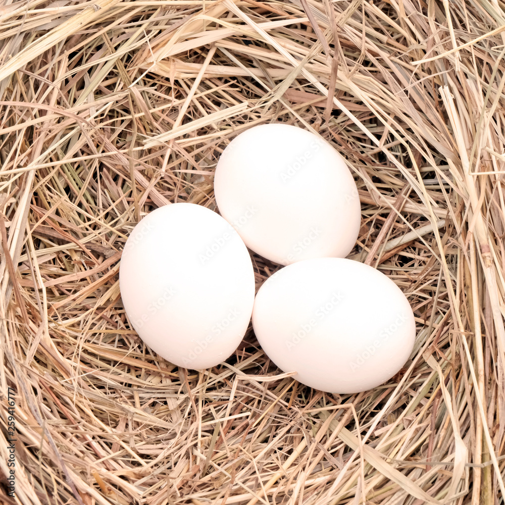 Three eggs on a background of hay, straw. Farming concept. Easter concept. Three eggs on a background of hay, straw. Farming concept. Easter concept.