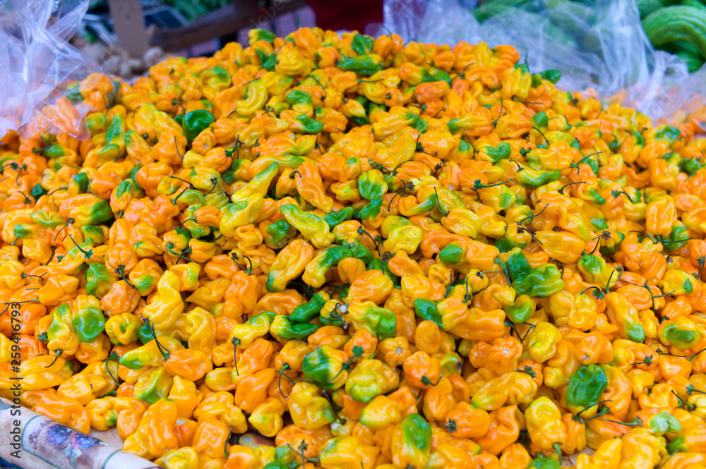 Habanero hot pepper at farmer's market