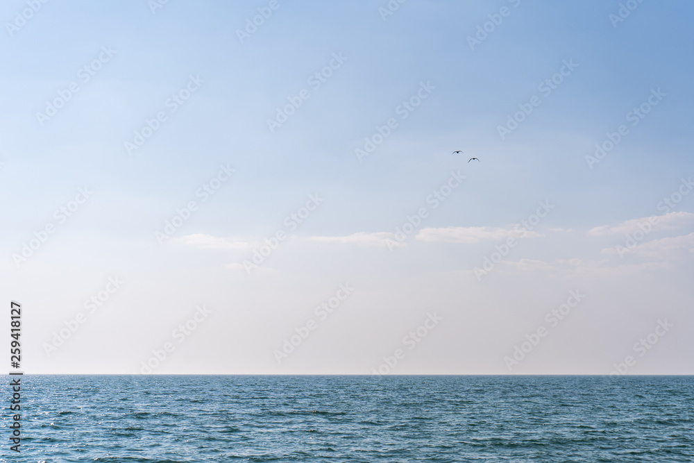 A pair of birds flying away over blue sea water against a cloudless sky on a sunny day