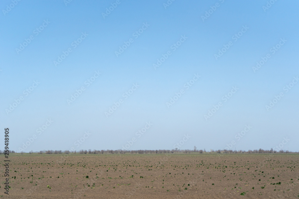 Ukrainian steppe spring field against a cloudless sky Ukrainian steppe spring field against a cloudless sky