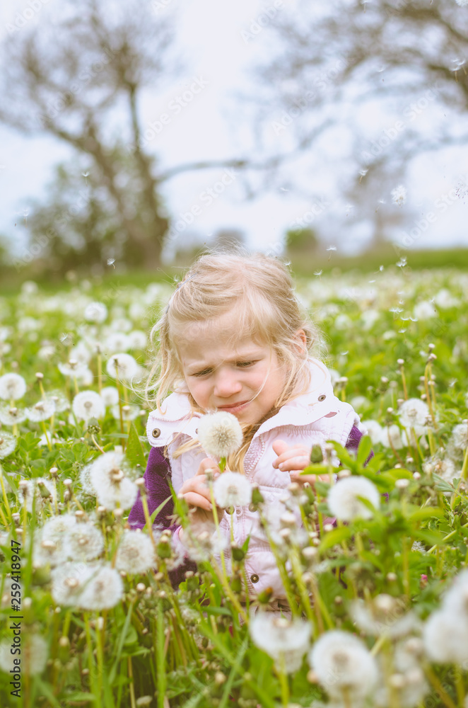 beautiful kid in blossoming dandelion flower meadow beautiful kid in blossoming dandelion flower meadow