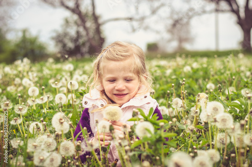 beautiful kid in blossoming dandelion flower meadow