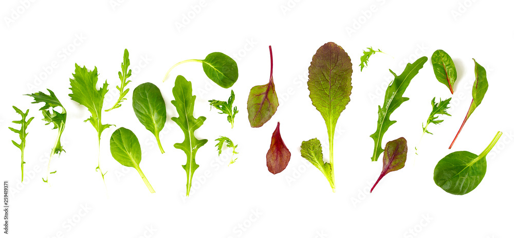 lettuce mix isolated on white background - obrazy, fototapety, plakaty 
