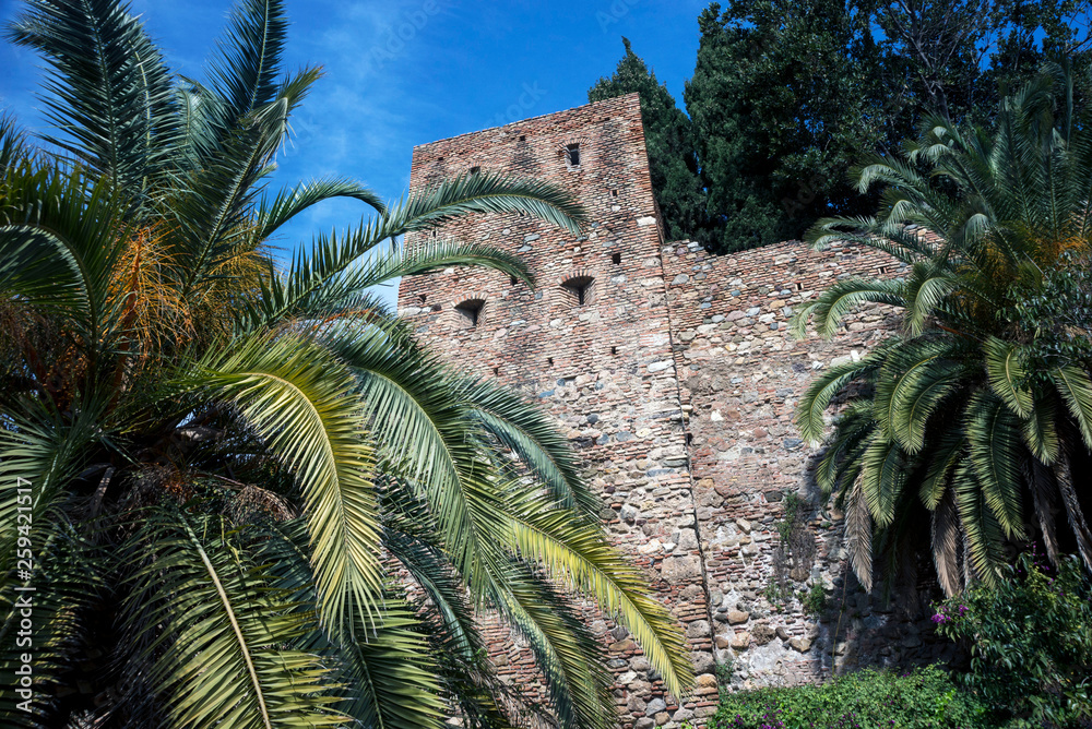 Malaga, Spain, February 2019. Arab fortress of Gibralfaro. Landmark of Malaga, Spain. Huge palm trees on the background of an old brick wall. Malaga, Spain, February 2019. Arab fortress of Gibralfaro. Landmark of Malaga, Spain. Huge palm trees on the background of an old brick wall.