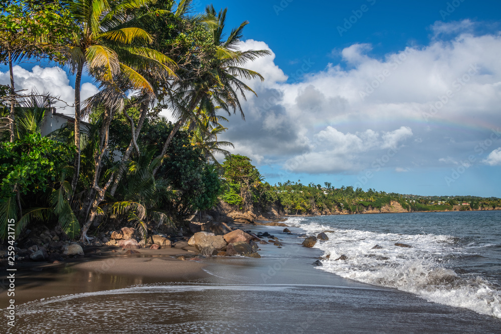 Plage de Grande Anse à Trois rivières en Guadeloupe Plage de Grande Anse à Trois rivières en Guadeloupe