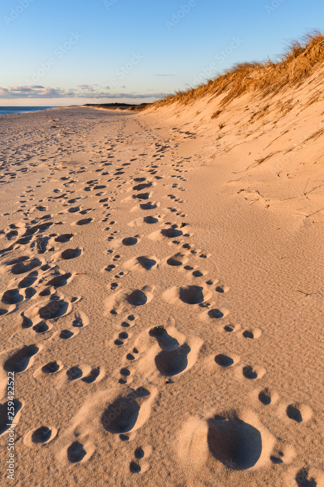 Footprints in Sand at Cape Cod National Seashore Footprints in Sand at Cape Cod National Seashore