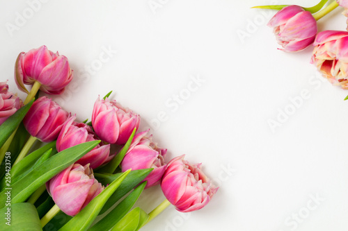 Pink flowers tulips bouquet of flowers on a white background.