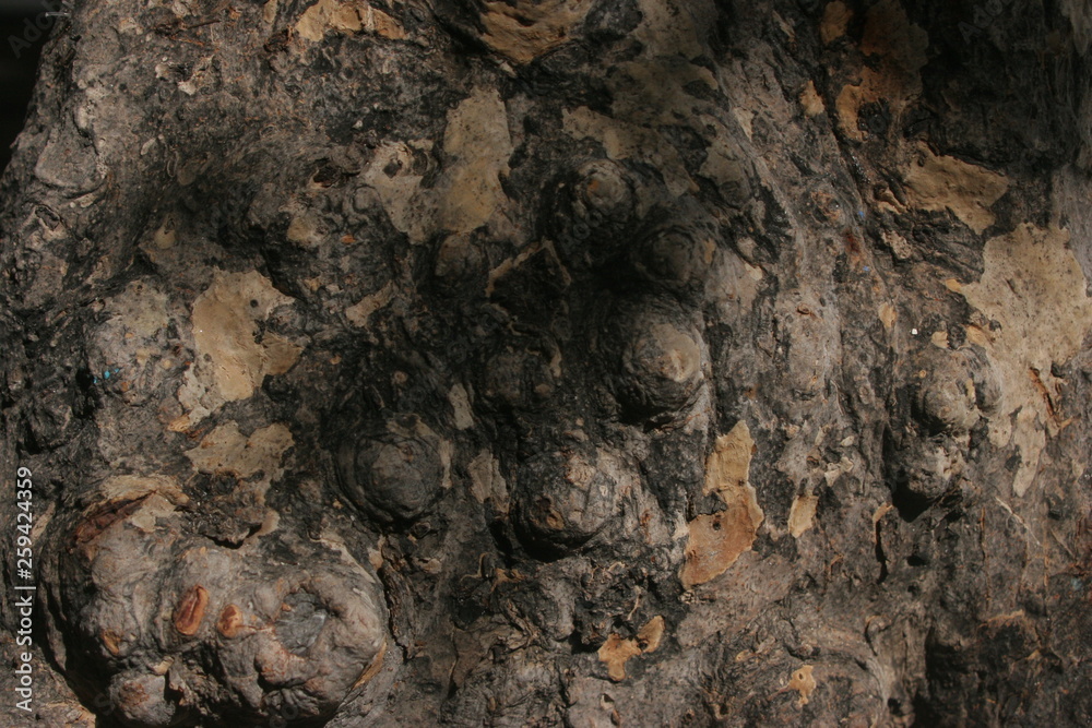 Textura roca