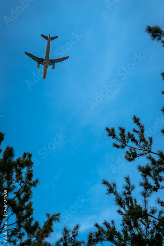 photography of a airplane in the sky taken under the tree
