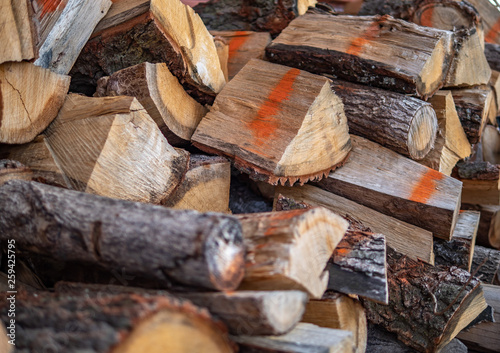 Obraz na płótnie Dry chopped firewood logs ready for winter w salonie