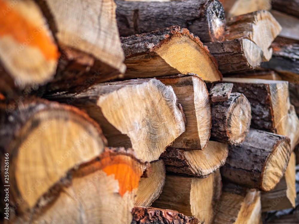 Dry chopped firewood logs ready for winter